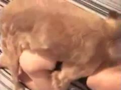 In this doggy position savage sex video, a beast destroys a trollop's tight cum-hole.